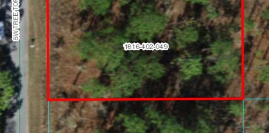 Land in Dunnellon, Florida № 2160267