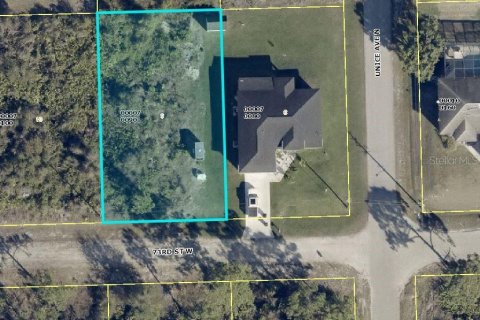 Land in Lehigh Acres, Florida № 2163012 - photo 3