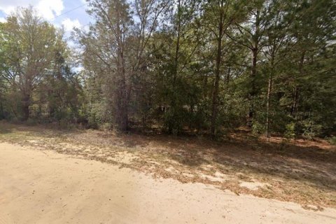 Terrain à vendre à Interlachen, Floride № 2223887 - photo 4