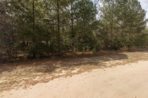 Terrain à vendre à Interlachen, Floride № 2223887 - photo 5