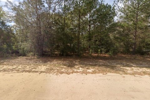 Terrain à vendre à Interlachen, Floride № 2223887 - photo 3
