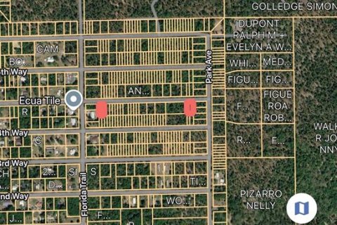 Land in Interlachen, Florida № 2239970 - photo 2