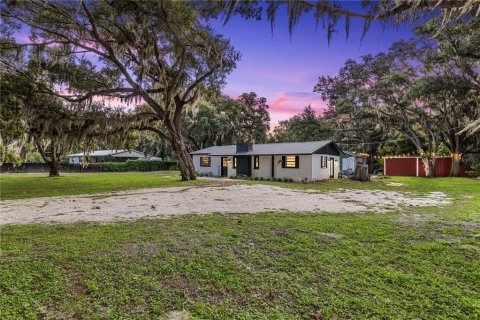 House in Fish Hawk, Florida 3 bedrooms, 109.25 sq.m. № 2284807