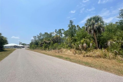 Land in Port Charlotte, Florida № 2239512 - photo 3