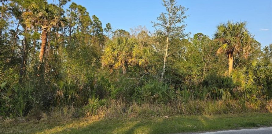 Land in Port Charlotte, Florida № 2239512