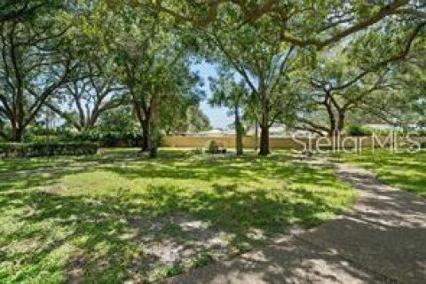 Condo in Largo, Florida, 1 bedroom № 2275767 - photo 25