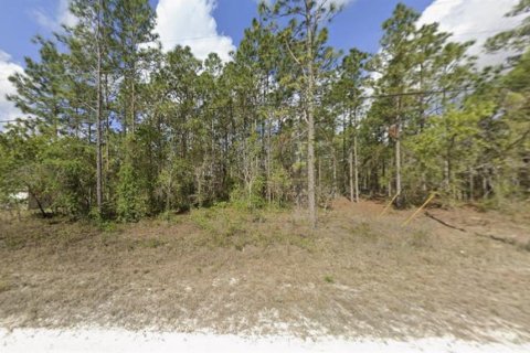 Land in Weeki Wachee, Florida № 2109212