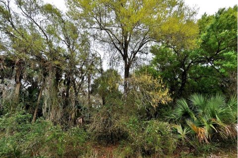Terrain à North Port, Floride № 2160796