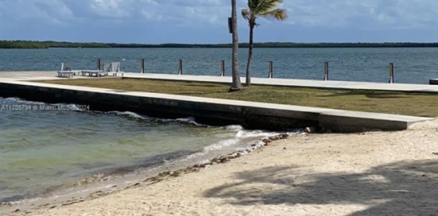 Appartement à Key Largo, Floride 2 chambres, 65.03 m2 № 1694076