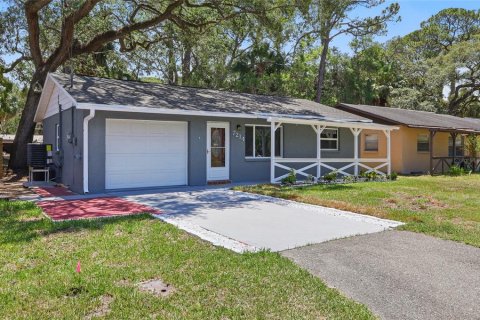 Villa ou maison à vendre à New Port Richey, Floride: 2 chambres, 94.76 m2 № 1754498 - photo 1