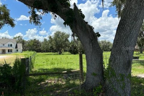 Land in Sanford, Florida № 1829121 - photo 2