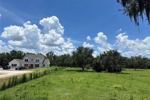 Land in Sanford, Florida № 1829121 - photo 3