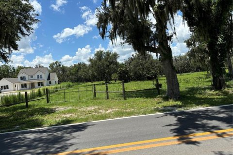 Land in Sanford, Florida № 1829121 - photo 1