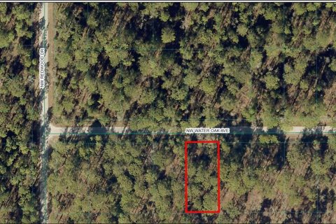 Land in Dunnellon, Florida № 2161407