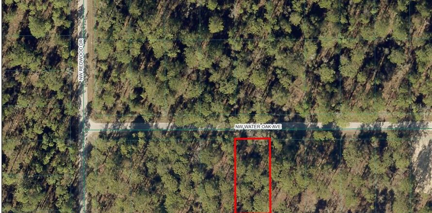 Land in Dunnellon, Florida № 2161407