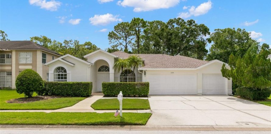 House in Odessa, Florida 4 bedrooms, 233.74 sq.m. № 1848496