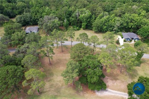 House in Alachua, Florida 4 bedrooms, 252.14 sq.m. № 1767687 - photo 14