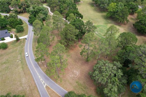 House in Alachua, Florida 4 bedrooms, 252.14 sq.m. № 1767687 - photo 19