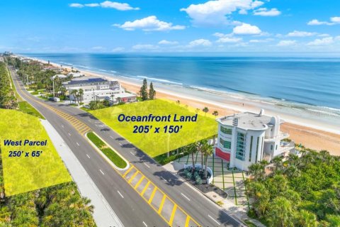 Land in Ormond Beach, Florida № 1866508 - photo 2