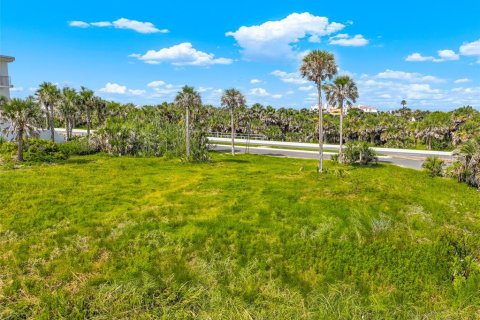Land in Ormond Beach, Florida № 1866508 - photo 6