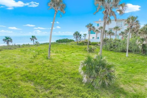 Land in Ormond Beach, Florida № 1866508 - photo 4