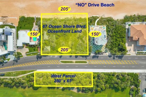 Land in Ormond Beach, Florida № 1866508 - photo 1