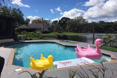 House in Lutz, Florida 4 bedrooms, 296.45 sq.m. № 2403670 - photo 23