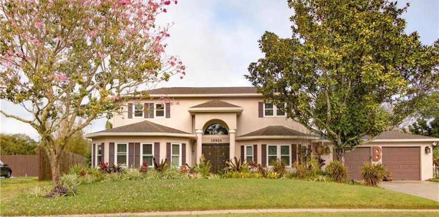 House in Lutz, Florida 4 bedrooms, 296.45 sq.m. № 2403670