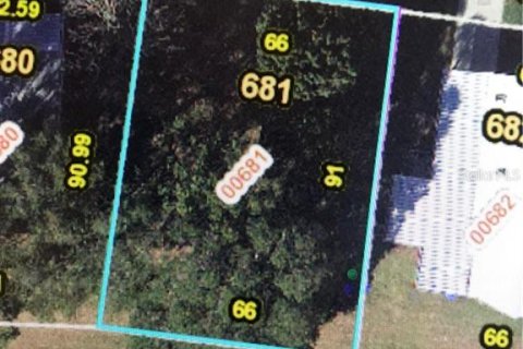 Land in Zellwood, Florida № 2162957