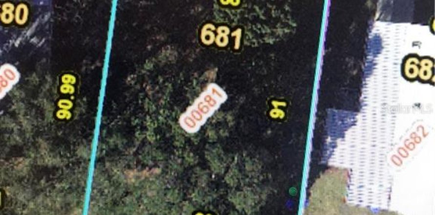 Land in Zellwood, Florida № 2162957