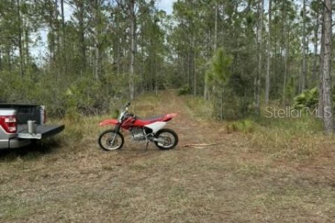 Terreno en venta en Frostproof, Florida № 2207472 - foto 8