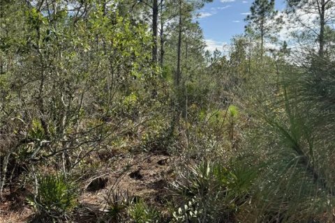 Terreno en venta en Frostproof, Florida № 2207472 - foto 4