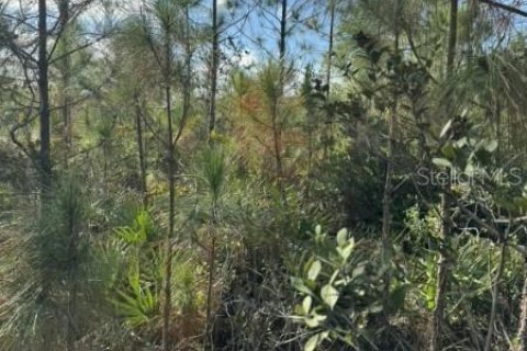 Terreno en venta en Frostproof, Florida № 2207472 - foto 3