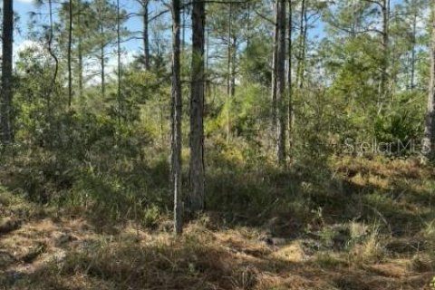 Terreno en venta en Frostproof, Florida № 2207472 - foto 2