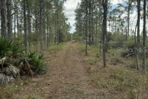 Terreno en venta en Frostproof, Florida № 2207472 - foto 6