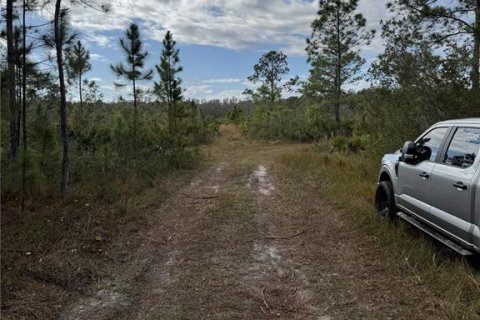 Terreno en venta en Frostproof, Florida № 2207472 - foto 7