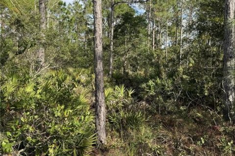 Terreno en venta en Frostproof, Florida № 2207472 - foto 5