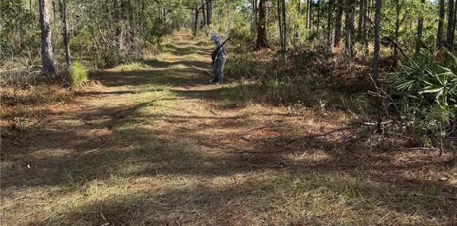 Terreno en Frostproof, Florida № 2207472