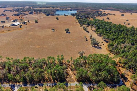 Terrain à vendre à Dunnellon, Floride № 2161031 - photo 6