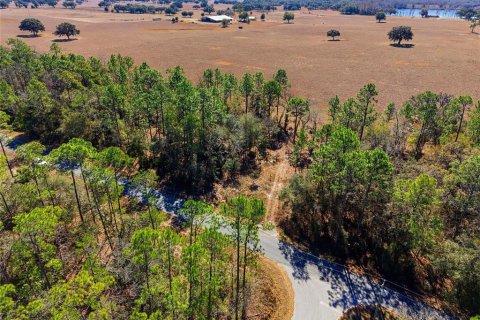 Terrain à vendre à Dunnellon, Floride № 2161031 - photo 3