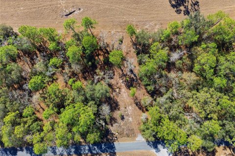 Terrain à Dunnellon, Floride № 2161031