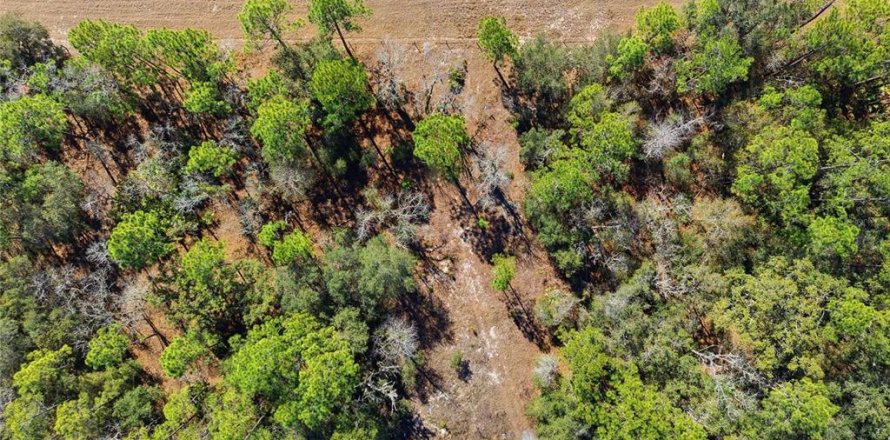 Terrain à Dunnellon, Floride № 2161031