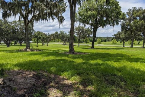 Land in Summerfield, Florida № 2142661 - photo 2