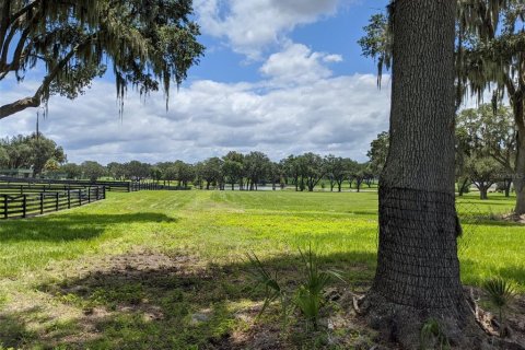 Land in Summerfield, Florida № 2142661