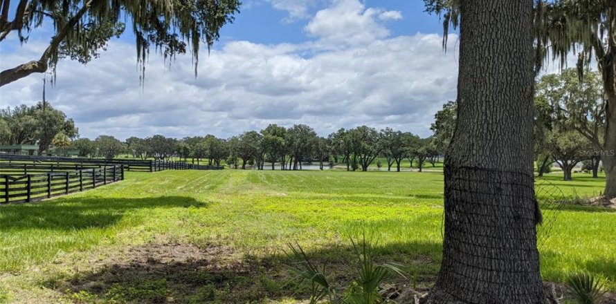 Land in Summerfield, Florida № 2142661