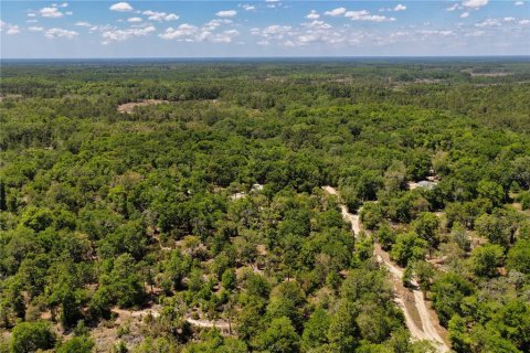 Land in Bronson, Florida № 2226880 - photo 16