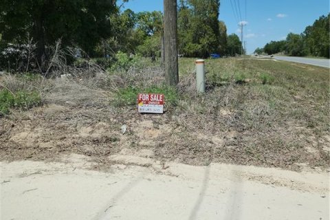 Land in Bronson, Florida № 2226880 - photo 19