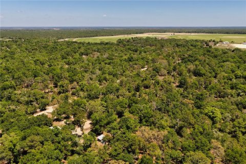 Land in Bronson, Florida № 2226880 - photo 11