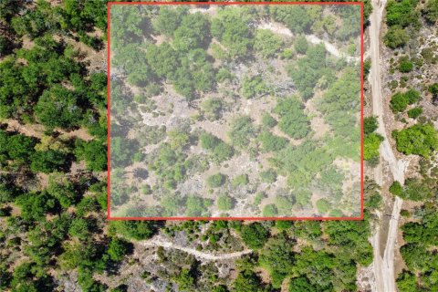 Land in Bronson, Florida № 2226880 - photo 4