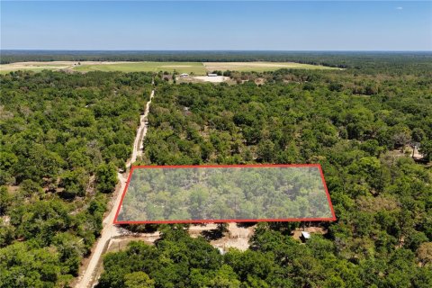Land in Bronson, Florida № 2226880 - photo 2